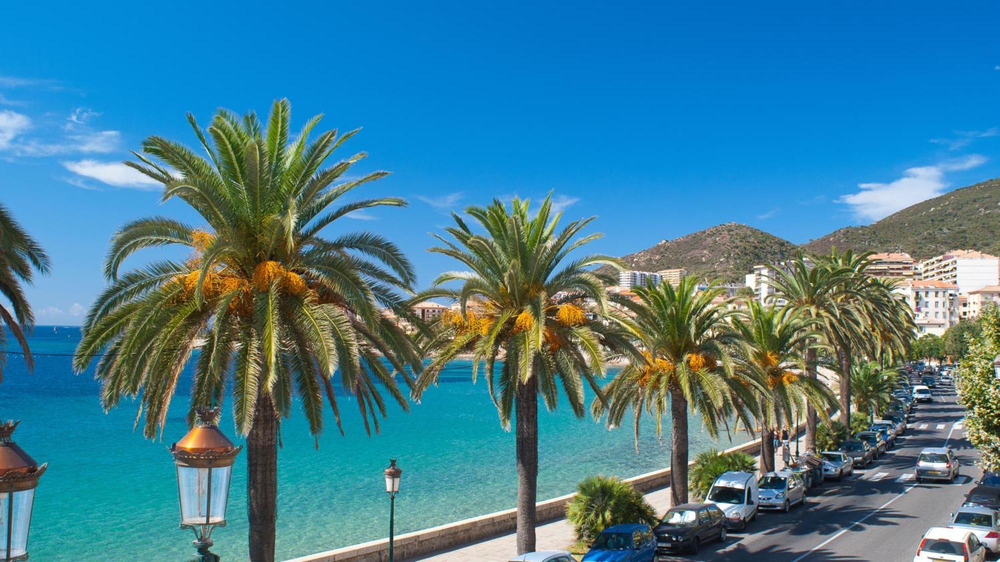 Evasion Corse - T2 Vue Mer, Piscine & Plage Ajaccio  Exterior foto